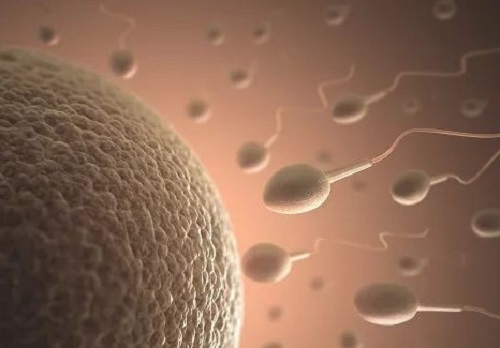 美国试管胚胎等级划分标准，成功率与什么有关？