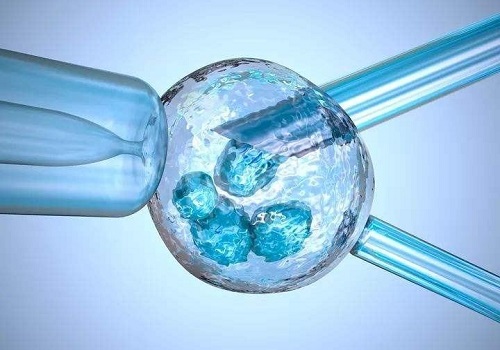 卵巢储备是否直接决定美国试管婴儿成功率？