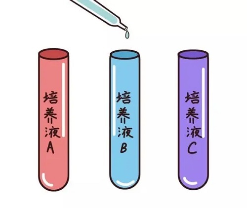 高龄女性做试管婴儿怎么提高成功率？