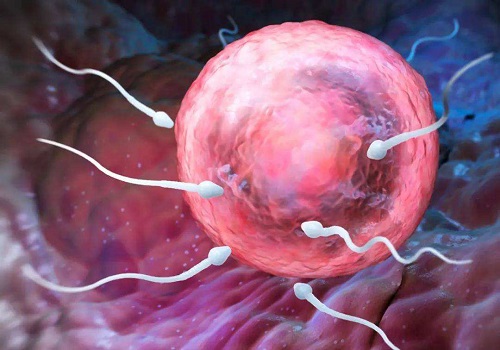 试管婴儿有多大年龄要求？试管婴儿成功率会受影响吗？