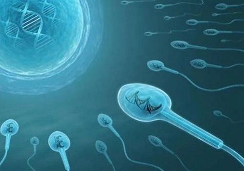 了解清楚：广州哪家医院可以做三代试管婴儿