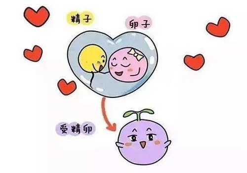 2022美国试管婴儿功