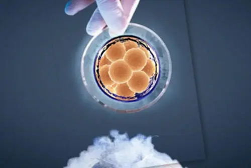 分享：做美国试管婴儿，是一种什么体验？