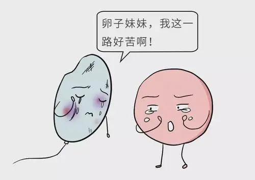 去美国试管婴儿究竟有没有必要？