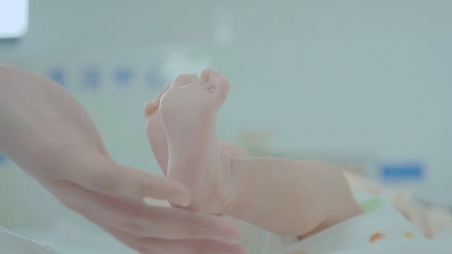 试管婴儿的价格是怎么去计算呢