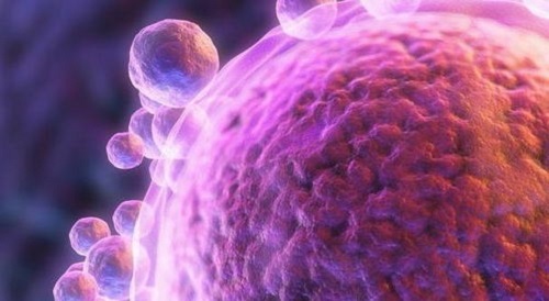 2022兰州第三代试管婴儿医院怎么样？