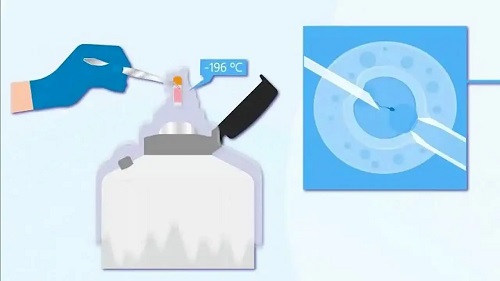 2021上海做试管婴儿的成功率达到了多少？
