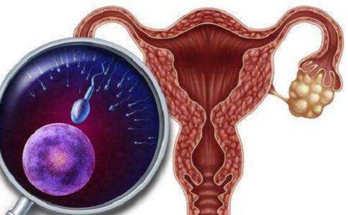 去美国做试管，提高子宫内膜容受性的方法有哪些？