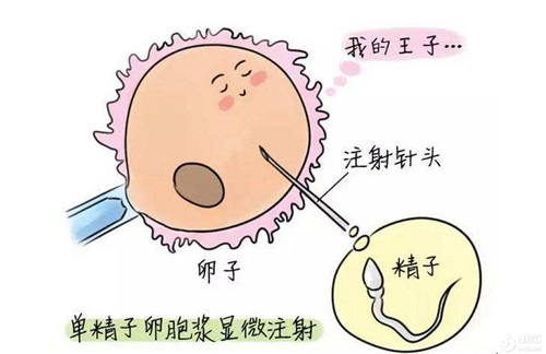 丽江三代试管婴儿医院排名好，保胎用什么药？
