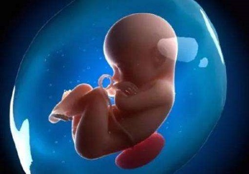 俄罗斯做试管婴儿到孕晚期如何去判断胎儿是否缺氧呢