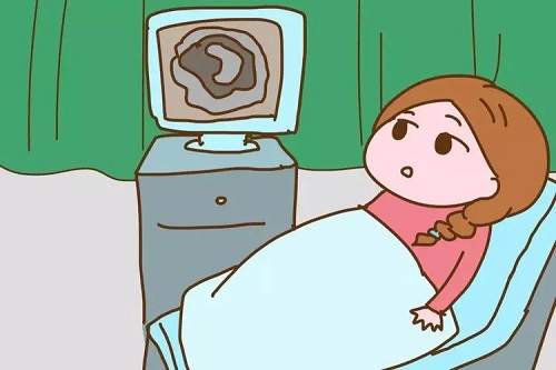 去美国做试管婴儿，养囊能否成功的关键是什么？