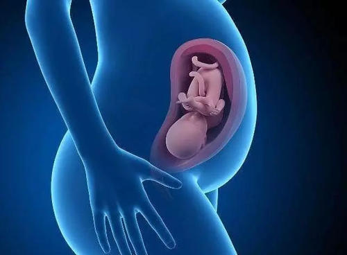 二代试管婴儿多少钱？费用大概是多少？