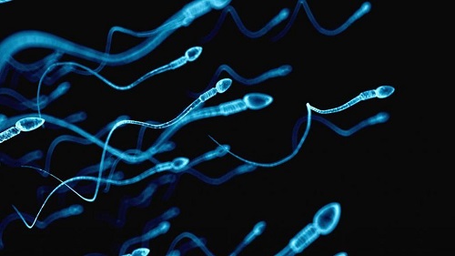 2021试管婴儿纳入医保了吗？大龄咋做试管？