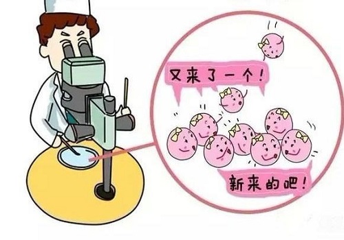 选择三代试管婴儿技术规避家族遗传病？_2