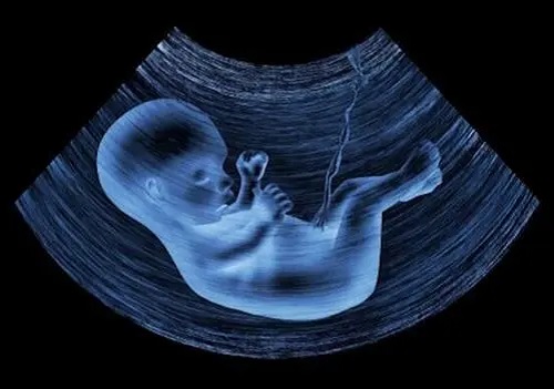 美国试管婴儿囊胚的培育过程是怎样的？