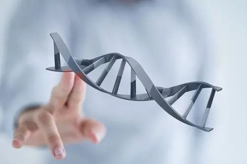 试管婴儿的检查时间该怎么安排？您知道吗？