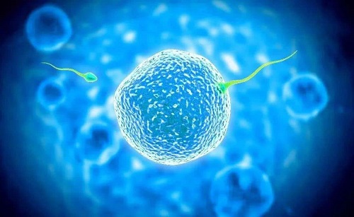 2021没有结婚证私立医院试管婴儿备孕药物怎么吃？