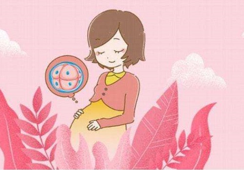 连云港试管婴儿全过程是怎样的？