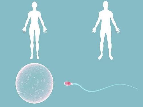 2022做试管婴儿不需要结婚证的医院有吗？