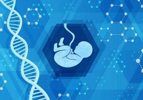 试管婴儿胚胎要达到什么标准才可以移植？