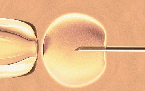 美国试管婴儿：HCG、孕酮和流产之间是什么关系？